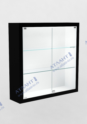 Музейная витрина В.П-1