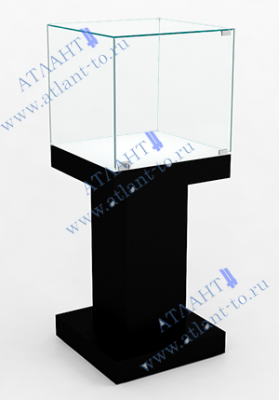 Музейная витрина П.М-В